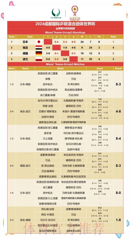 全面分析世界杯比分数据与赛果统计